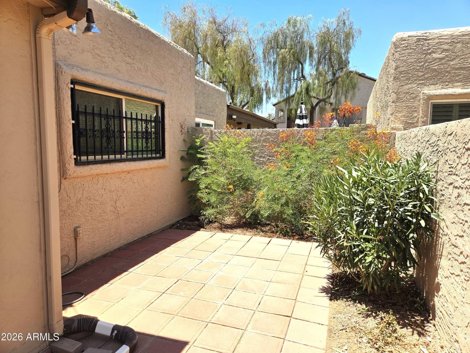 3345 E University Drive 13, Mesa, AZ 85213 — photo 6 of 46