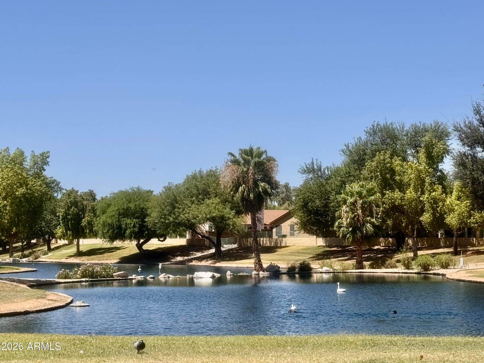 14957 W BOTTLE TREE Avenue, Surprise, AZ 85374 — photo 15 of 21