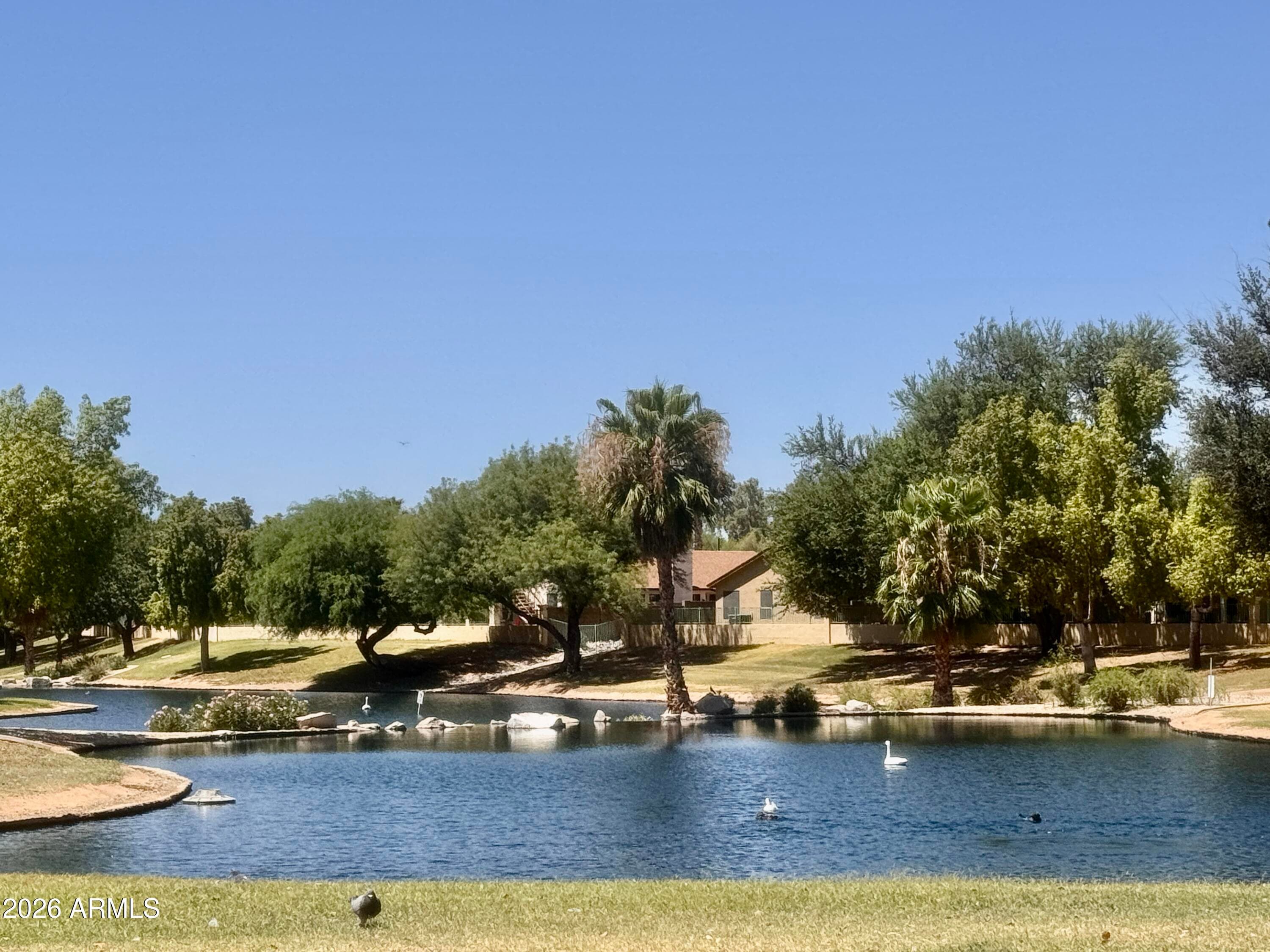 14957 W BOTTLE TREE Avenue, Surprise, AZ 85374 — photo 15 of 21