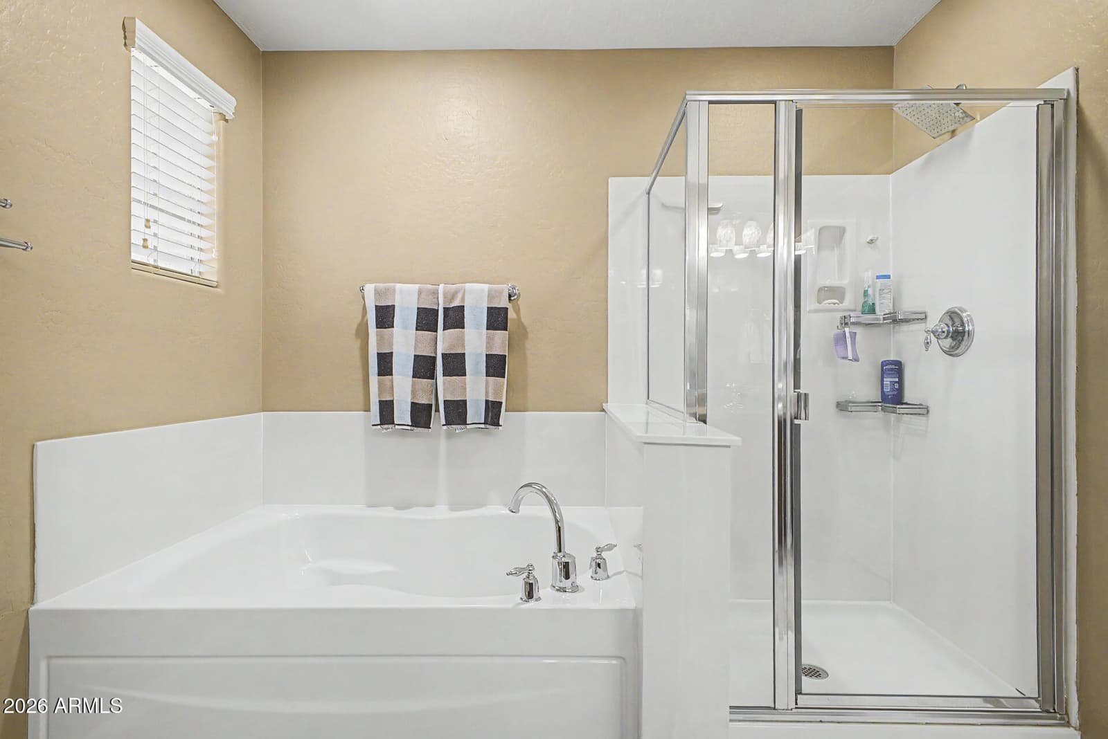 2519 W LUCIA Drive, Phoenix, AZ 85085 — photo 15 of 24