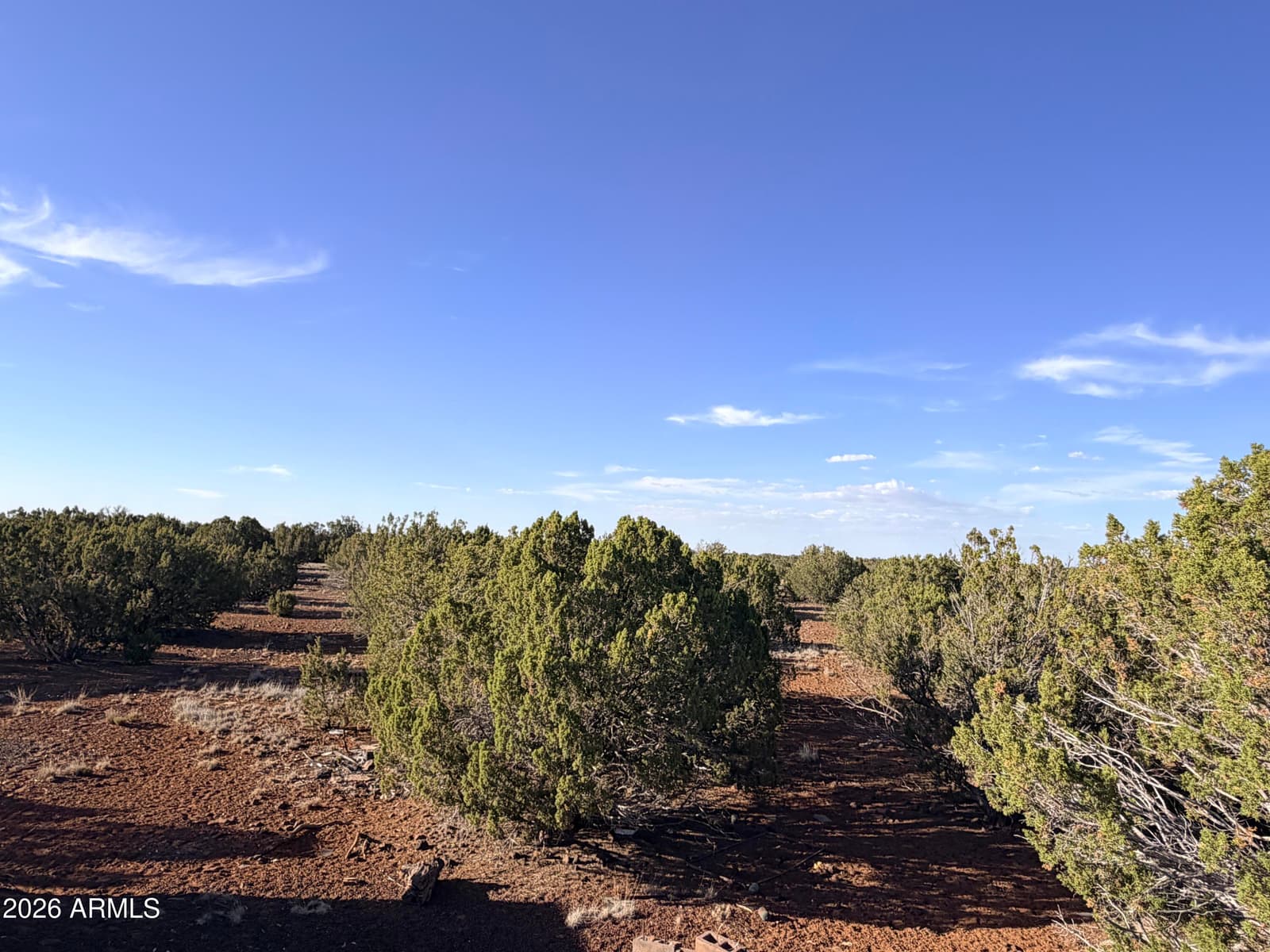 9070 PINTO Trail, Show Low, AZ 85901 — photo 18 of 29