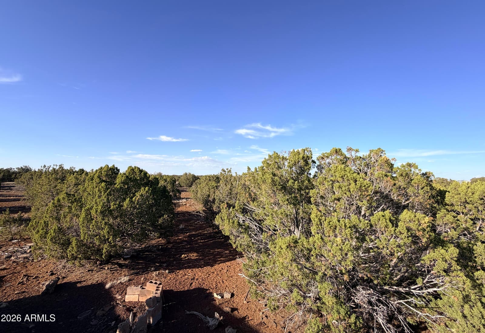 9070 PINTO Trail, Show Low, AZ 85901 — photo 19 of 29