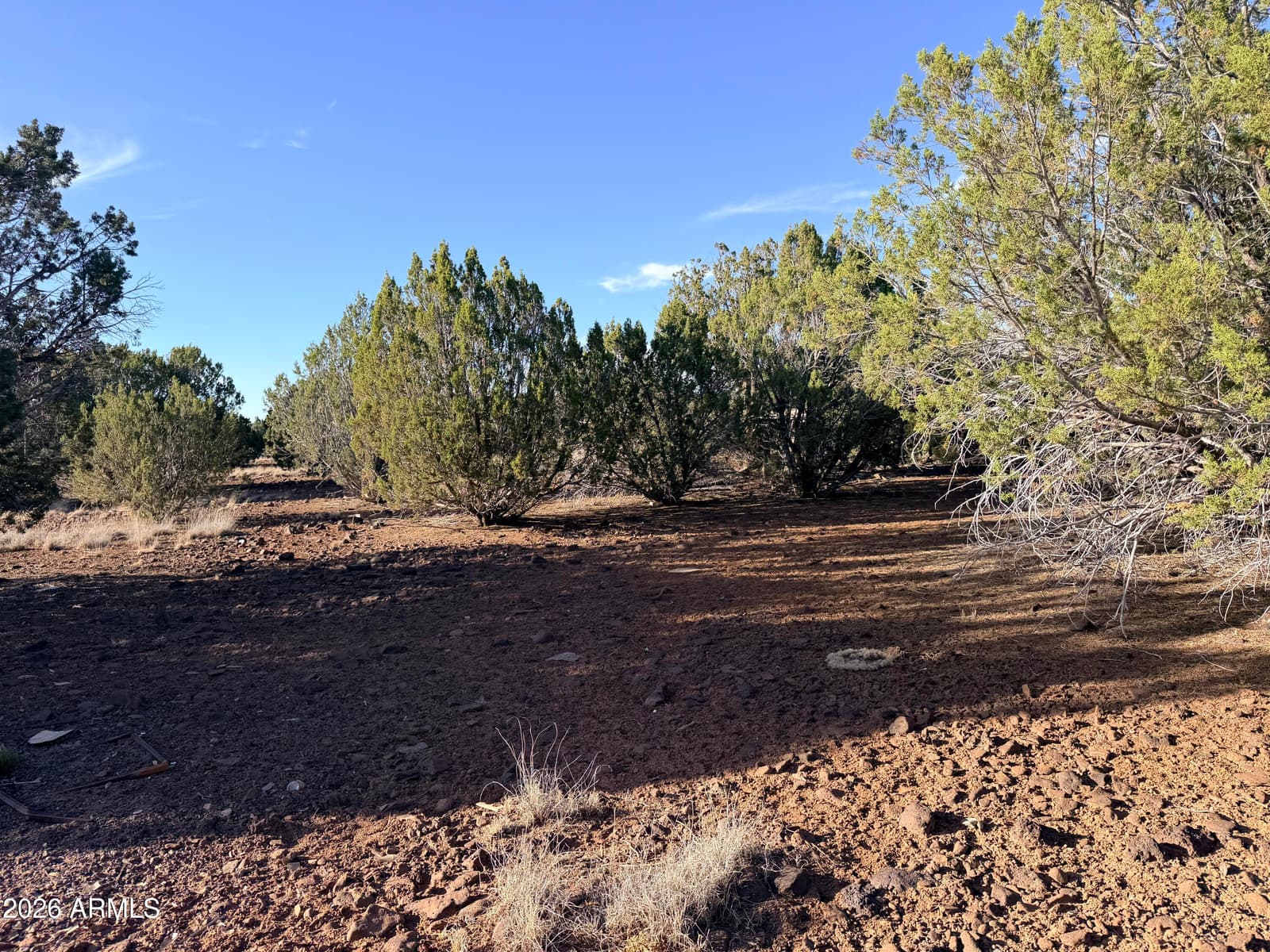 9070 PINTO Trail, Show Low, AZ 85901 — photo 21 of 29
