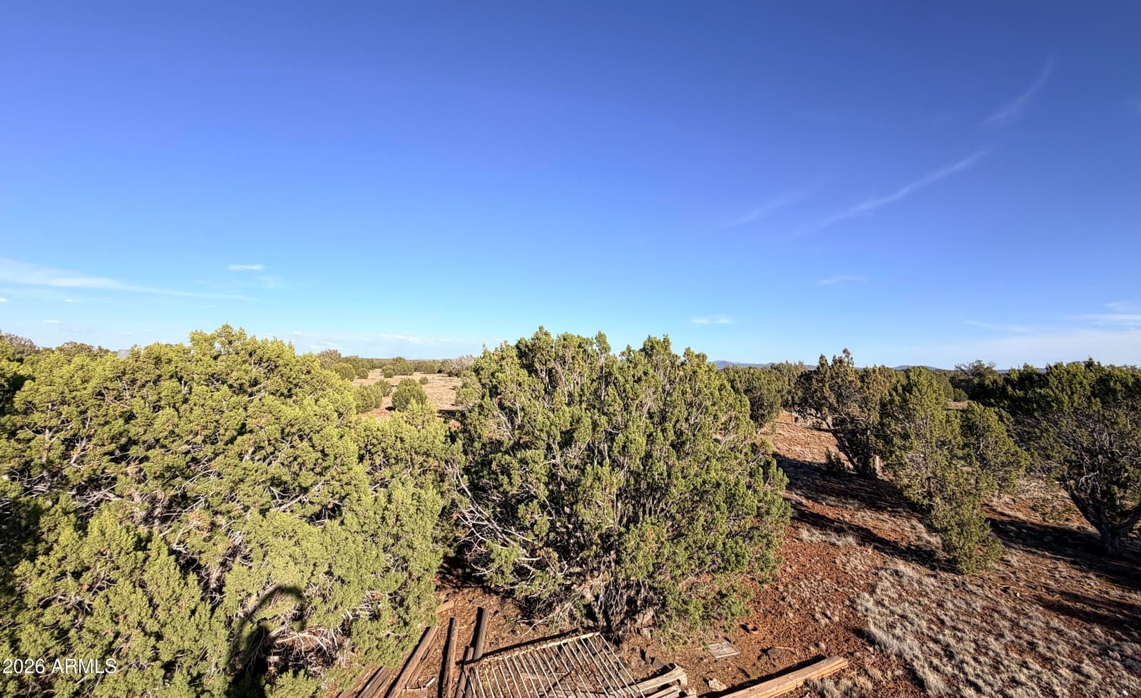9070 PINTO Trail, Show Low, AZ 85901 — photo 22 of 29