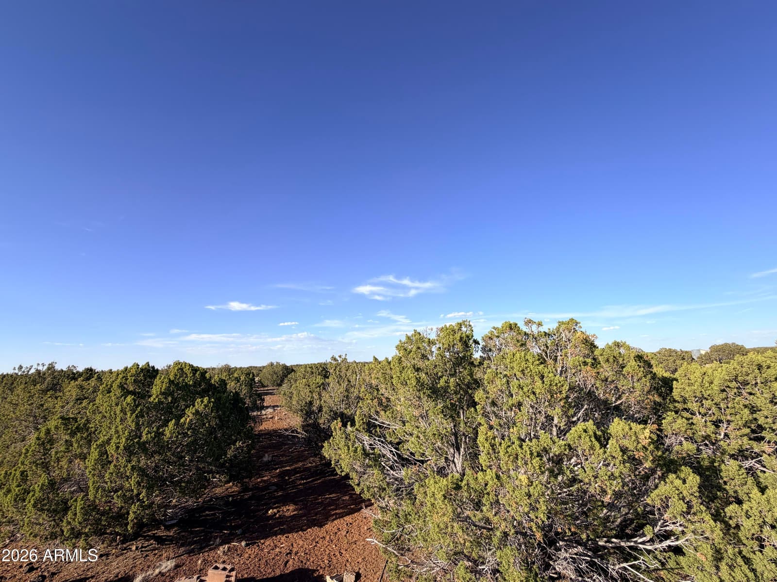 9070 PINTO Trail, Show Low, AZ 85901 — photo 23 of 29