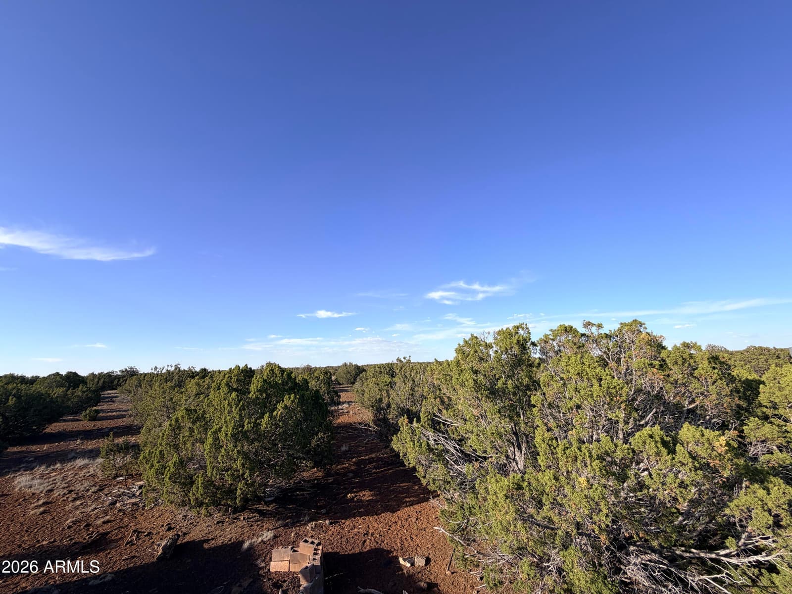 9070 PINTO Trail, Show Low, AZ 85901 — photo 24 of 29