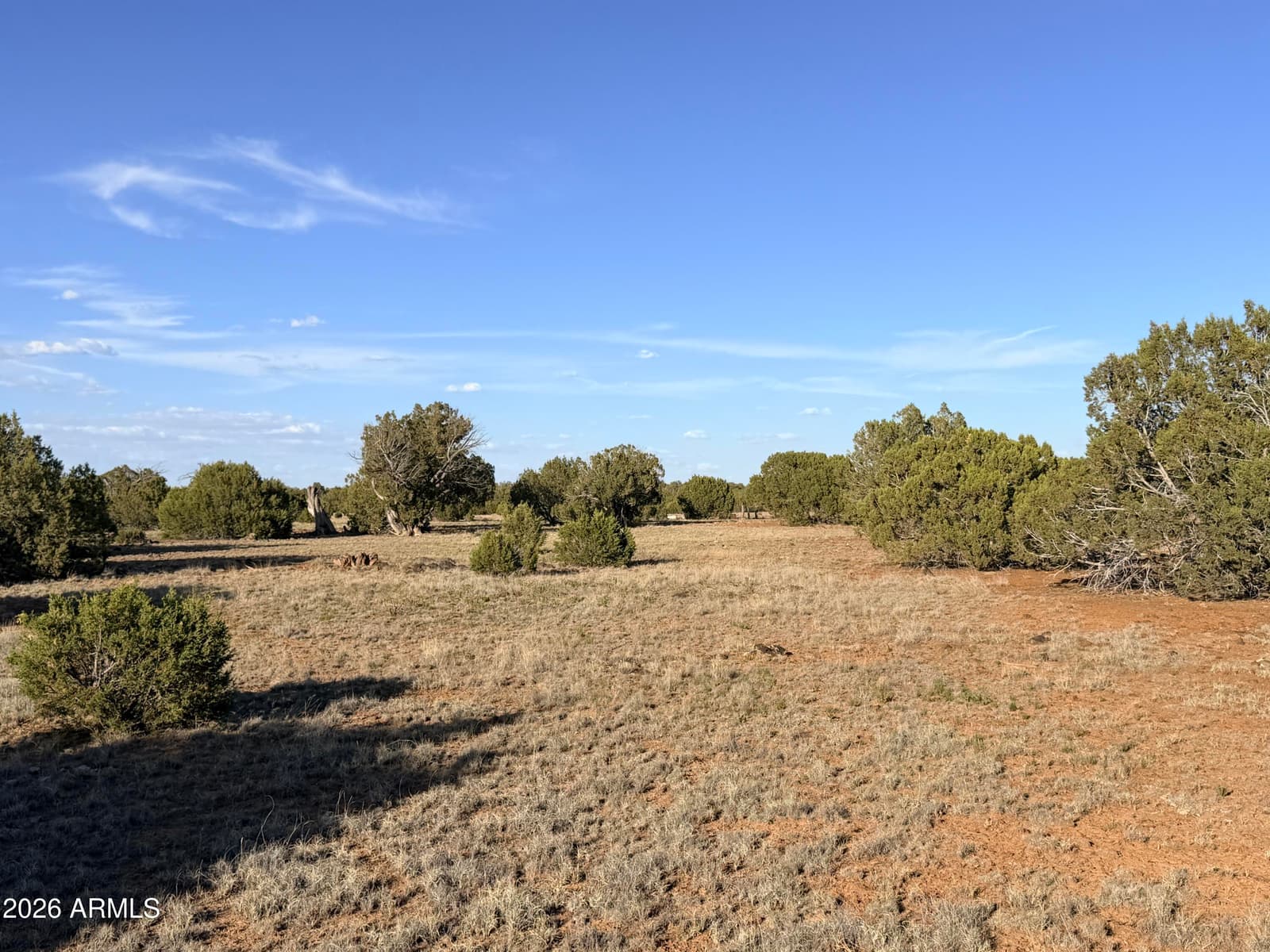 9070 PINTO Trail, Show Low, AZ 85901 — photo 25 of 29
