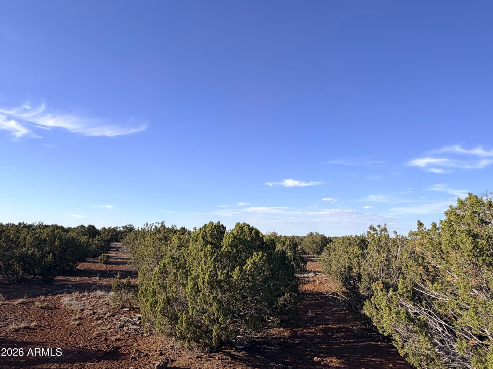 9070 PINTO Trail, Show Low, AZ 85901 — photo 26 of 29