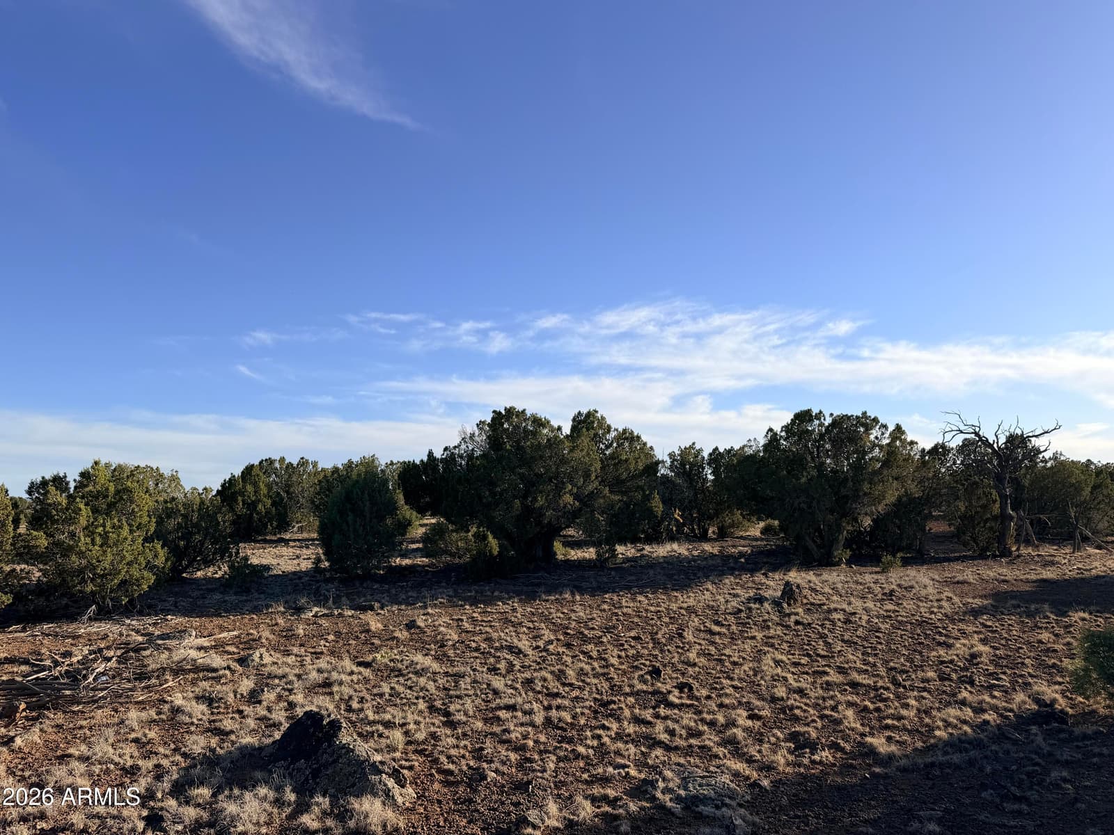 9070 PINTO Trail, Show Low, AZ 85901 — photo 27 of 29