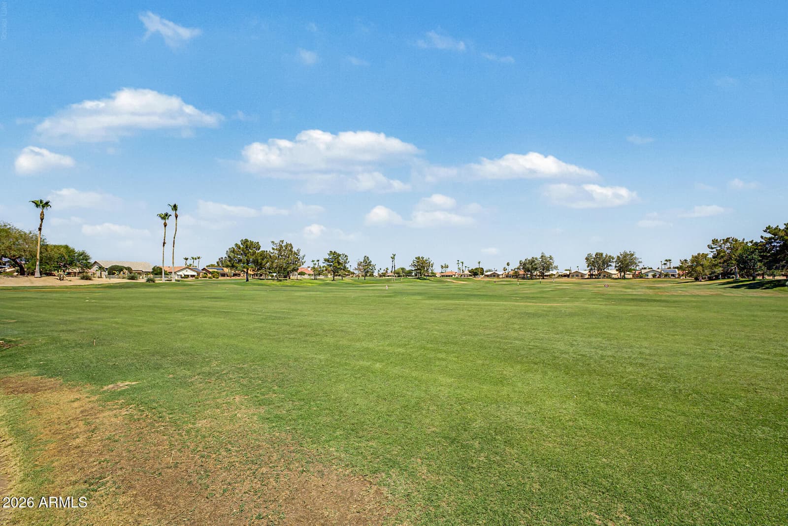 15144 W VIA MANANA W, Sun City West, AZ 85375 — photo 36 of 67