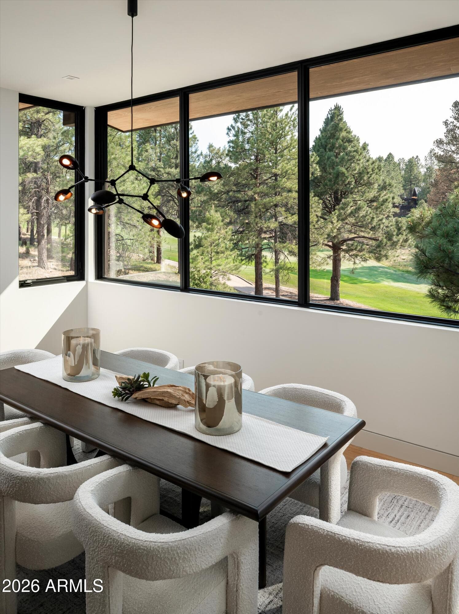 2911 S SOLITAIRES CANYON Drive, Flagstaff, AZ 86005 — photo 30 of 87