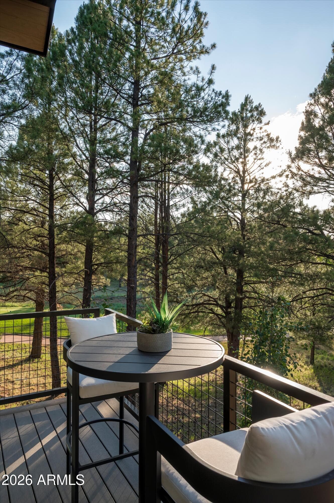 2911 S SOLITAIRES CANYON Drive, Flagstaff, AZ 86005 — photo 34 of 87