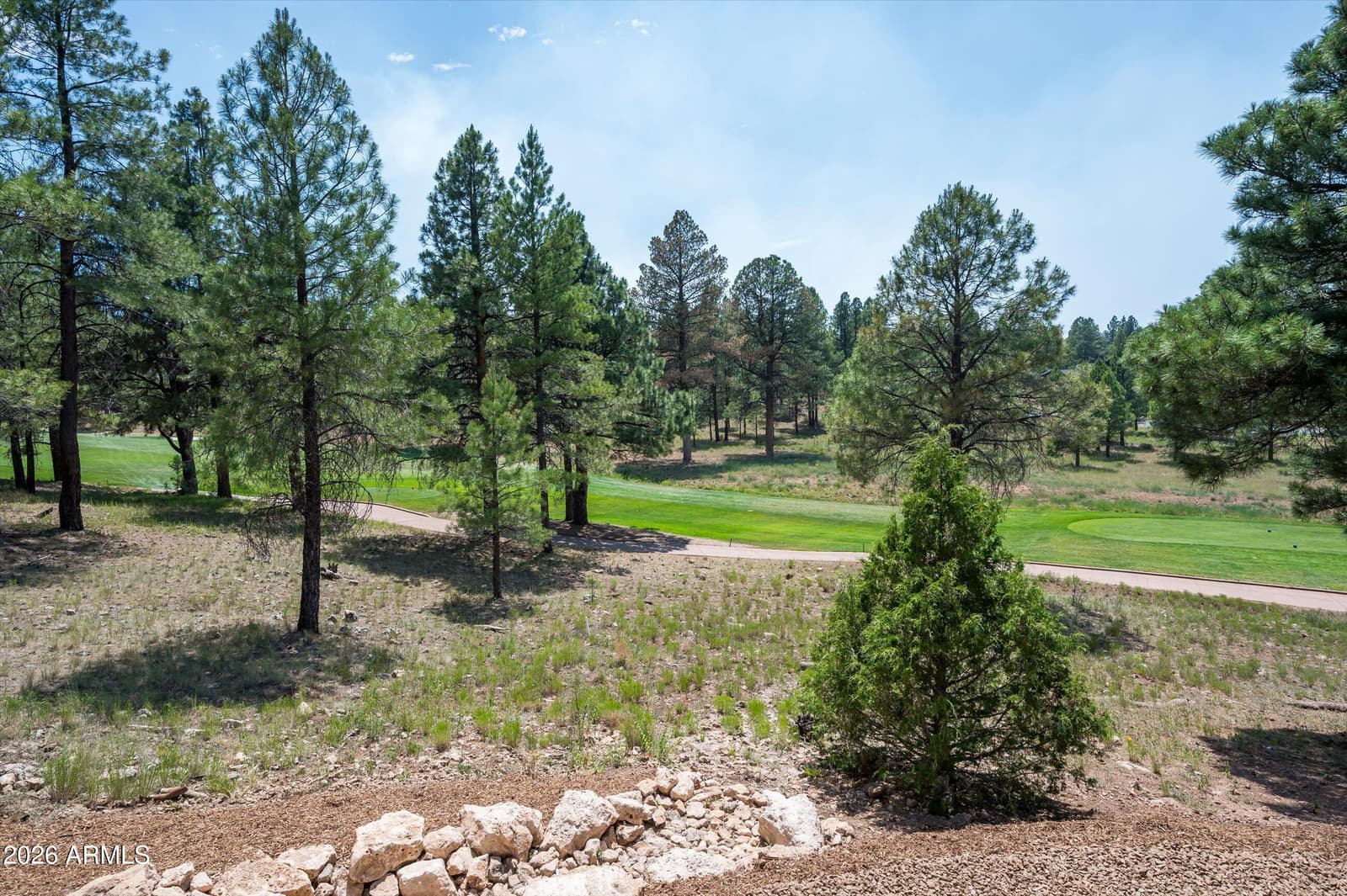 2911 S SOLITAIRES CANYON Drive, Flagstaff, AZ 86005 — photo 73 of 87
