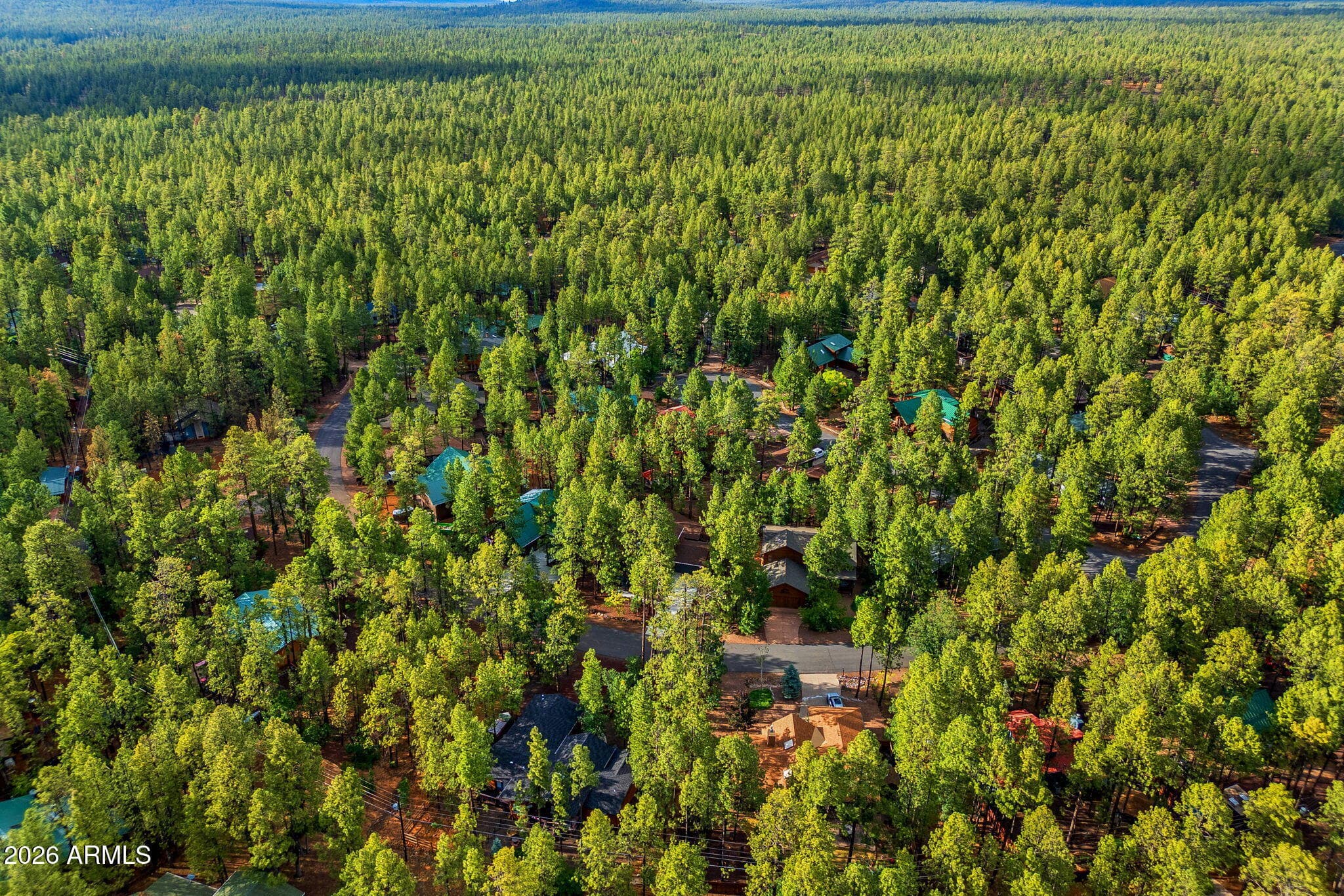 6346 CHRISTMAS TREE Circle, Pinetop, AZ 85935 — photo 44 of 47