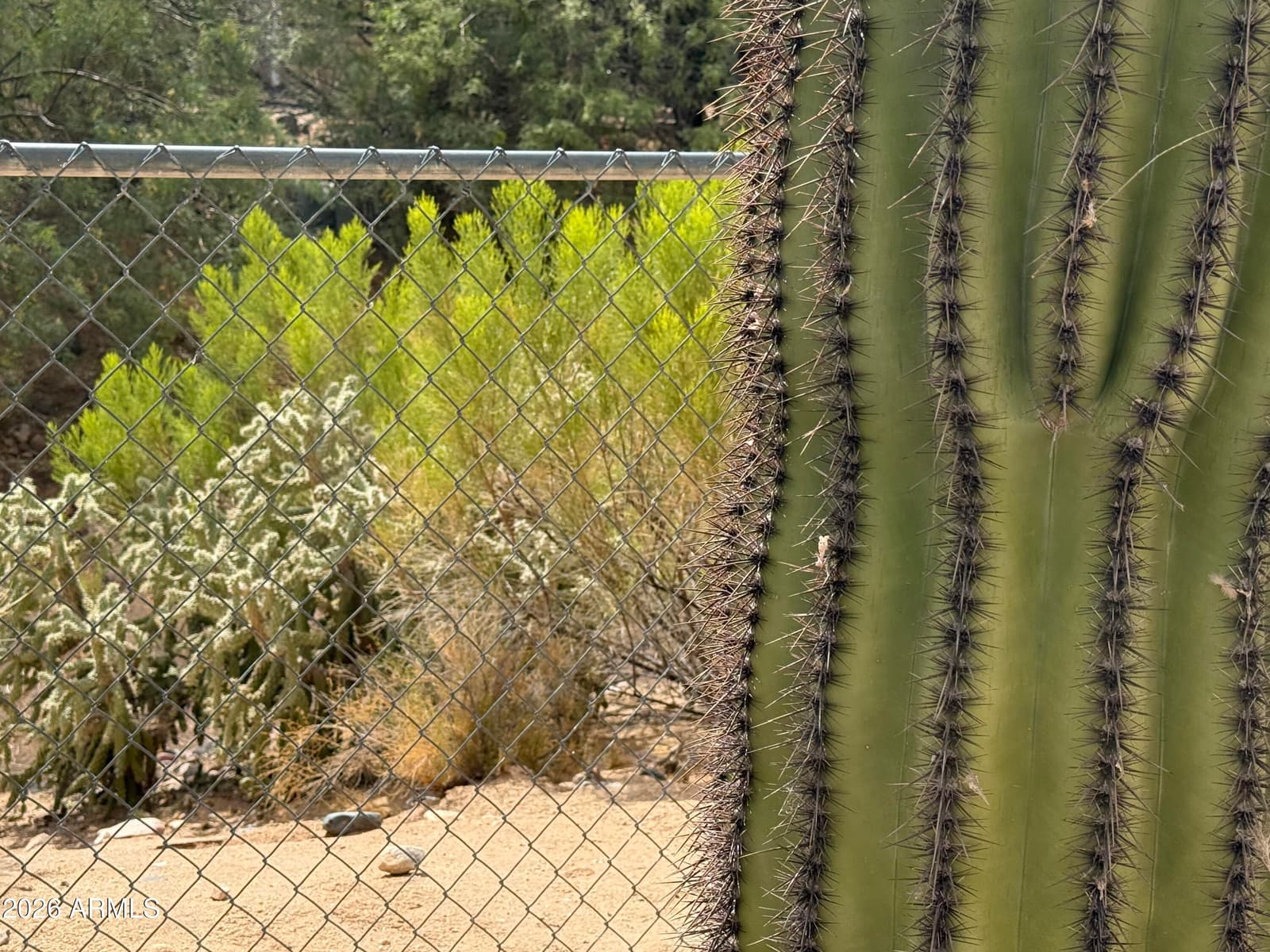 30854 S WANDERING Way 64, Congress, AZ 85332 — photo 41 of 48