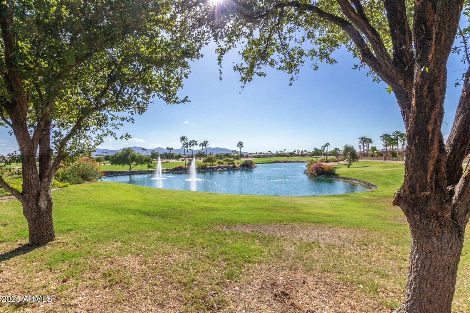 15907 W SUNSTONE Lane, Surprise, AZ 85374 — photo 35 of 39