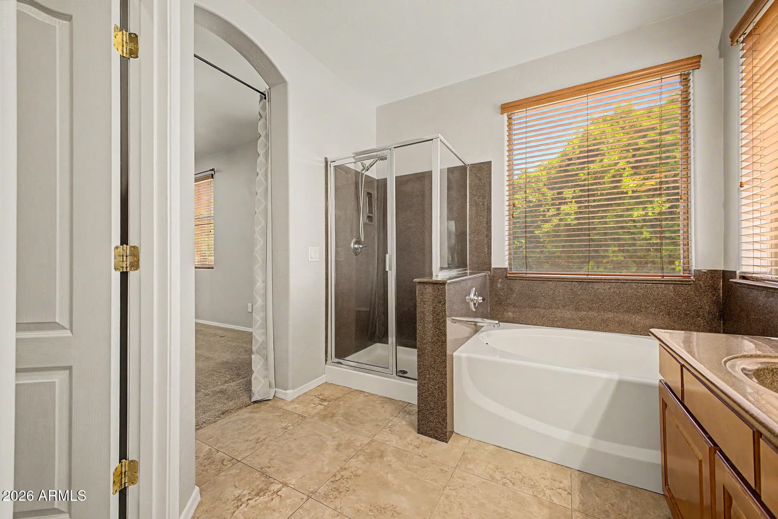 2567 E REMINGTON Place, Chandler, AZ 85286 — photo 25 of 51
