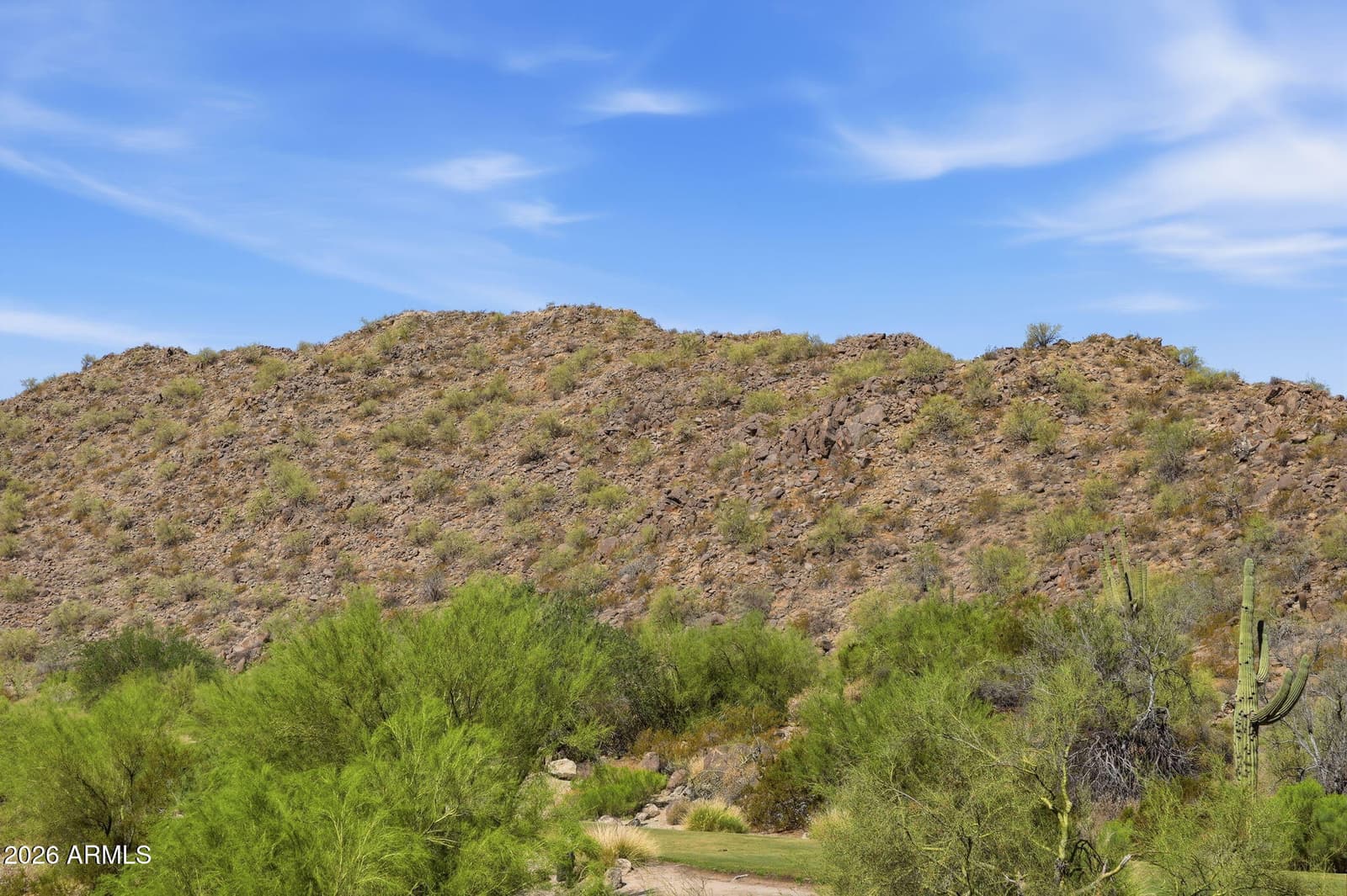 3632 N EAGLE CANYON, Mesa, AZ 85207 — photo 84 of 85