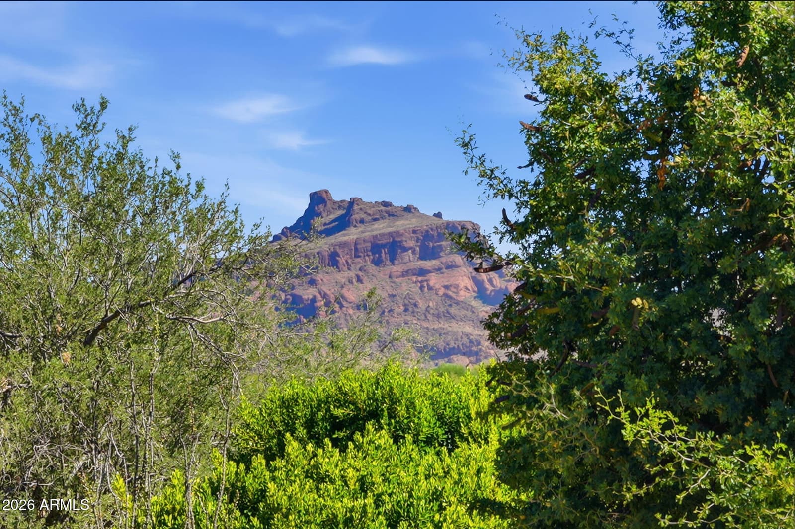 3632 N EAGLE CANYON, Mesa, AZ 85207 — photo 85 of 85