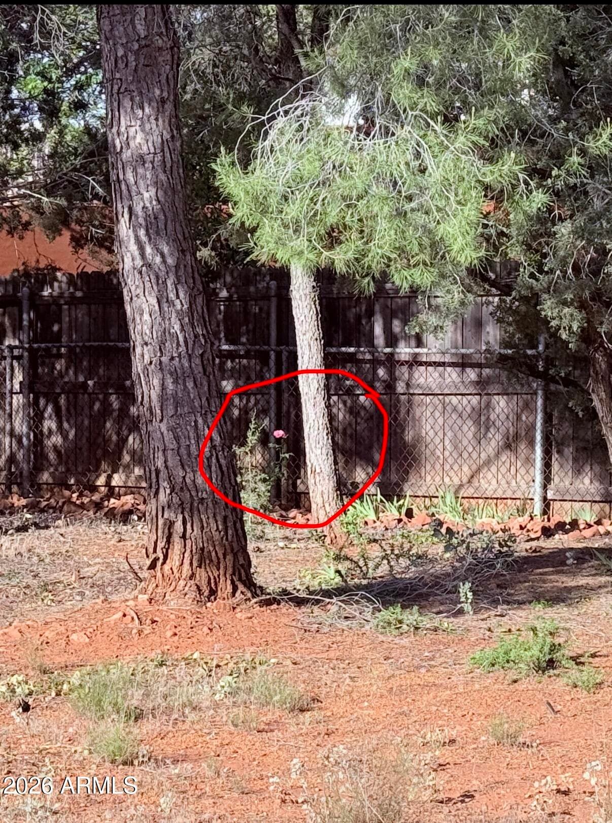 485 MOUNTAIN SHADOWS Drive, Sedona, AZ 86336 — photo 59 of 79