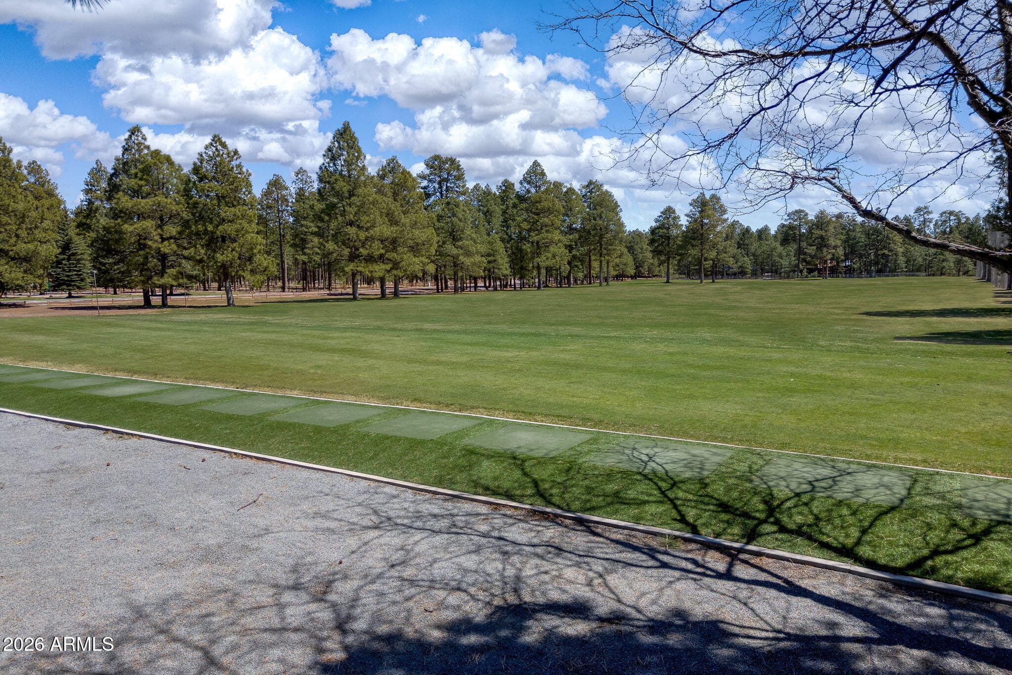 3417 ROARING FORK Drive, Pinetop, AZ 85935 — photo 52 of 69