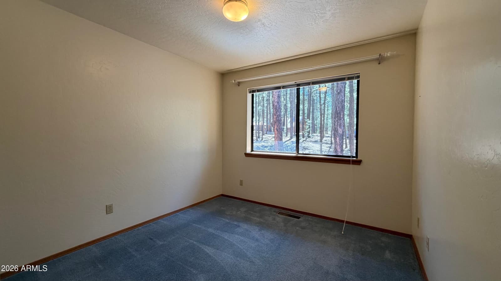 3 County Road 2089, Alpine, AZ 85920 — photo 21 of 31
