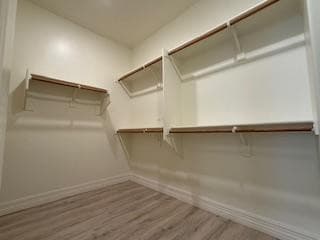 25428 N 19TH Drive, Phoenix, AZ 85085 — photo 96 of 99