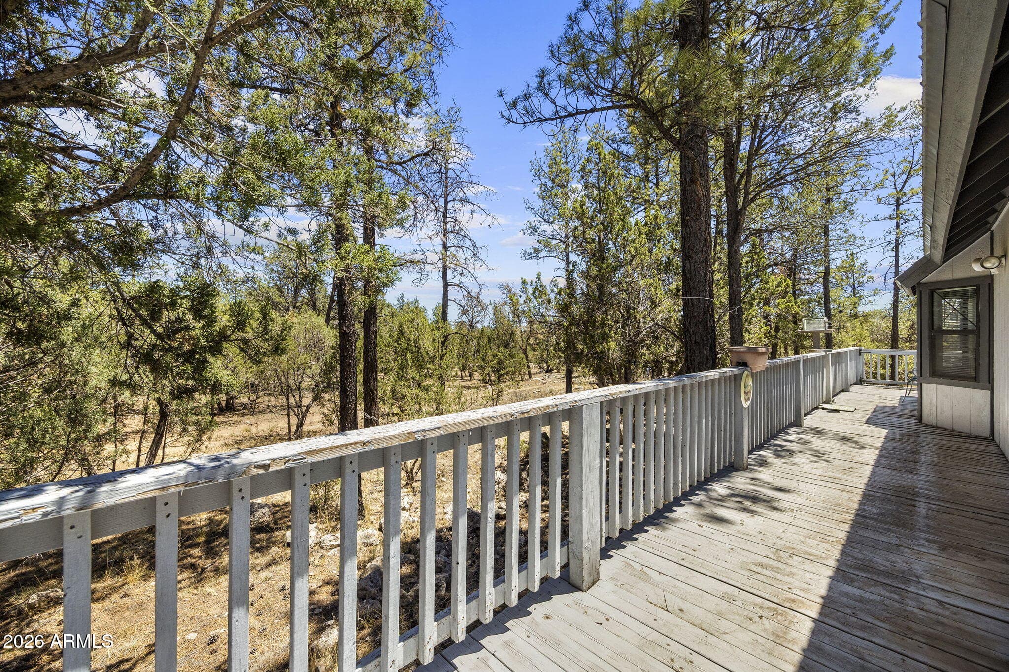 2142 RIMVIEW Trail, Overgaard, AZ 85933 — photo 5 of 39