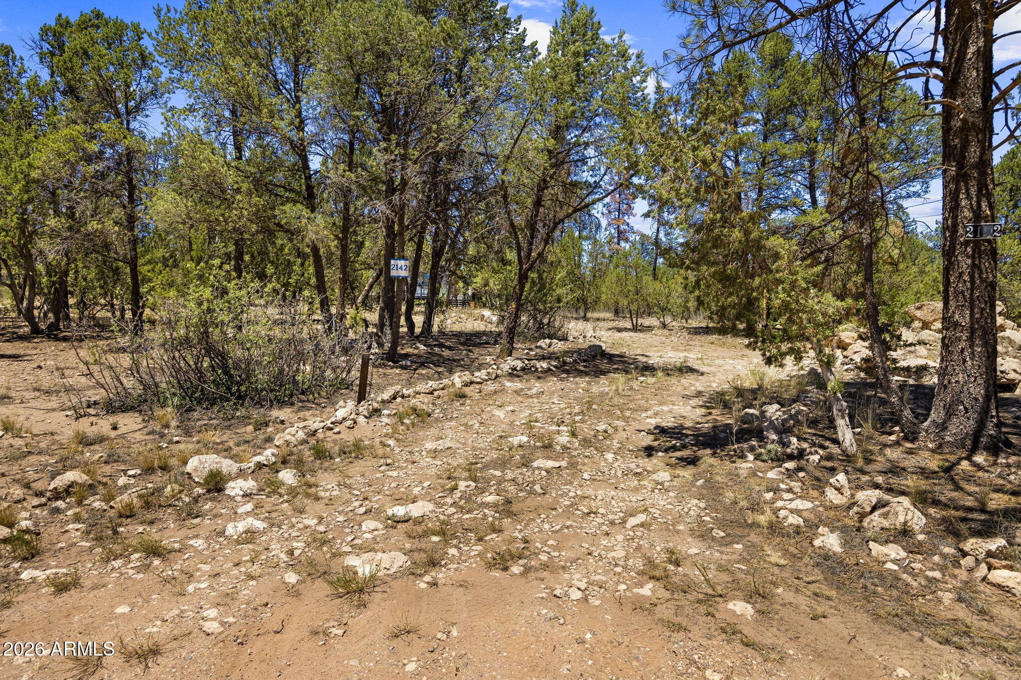 2142 RIMVIEW Trail, Overgaard, AZ 85933 — photo 27 of 39