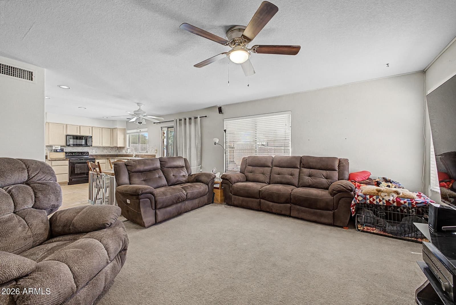 10405 W PRIMROSE Drive, Avondale, AZ 85392 — photo 6 of 22