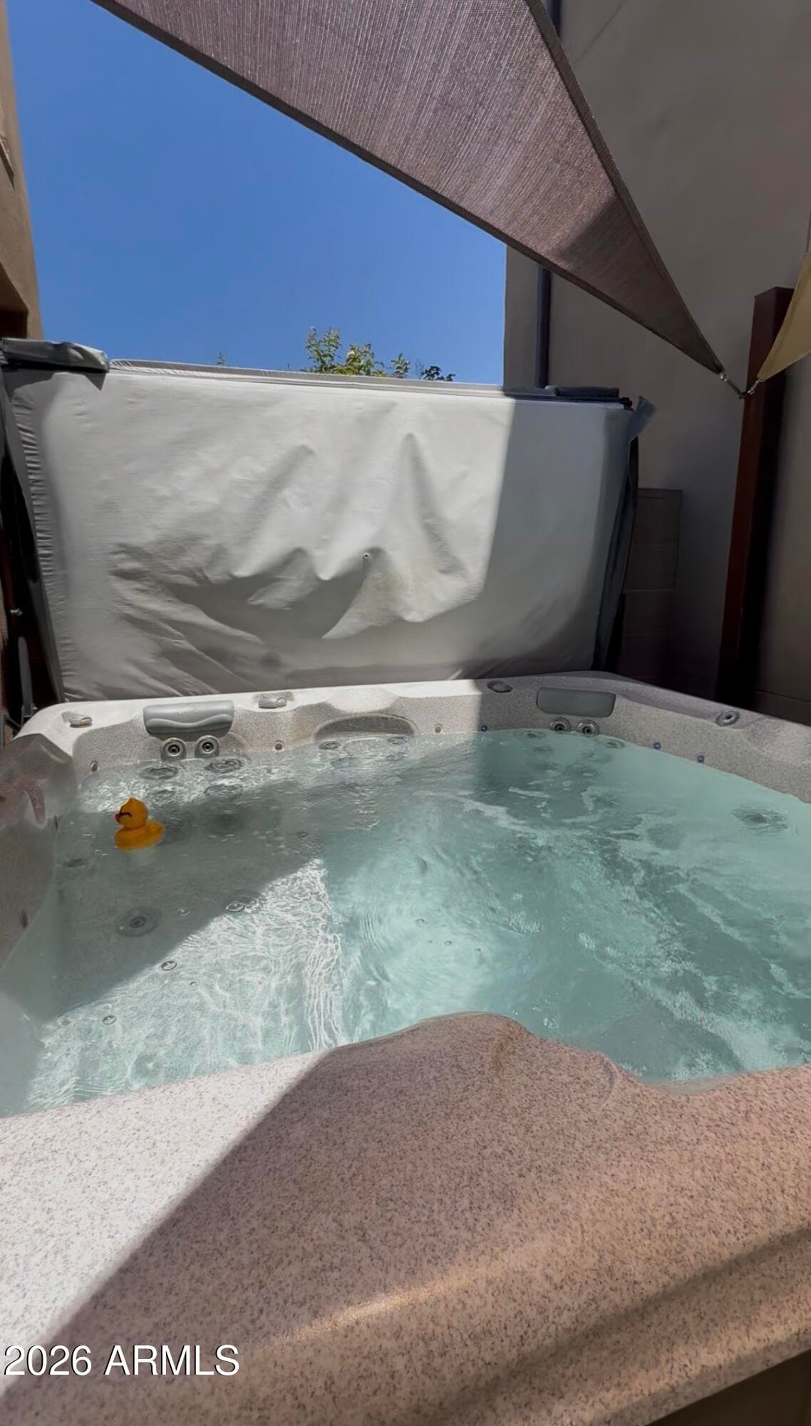 1356 N ZANE Drive, Chandler, AZ 85226 — photo 24 of 36