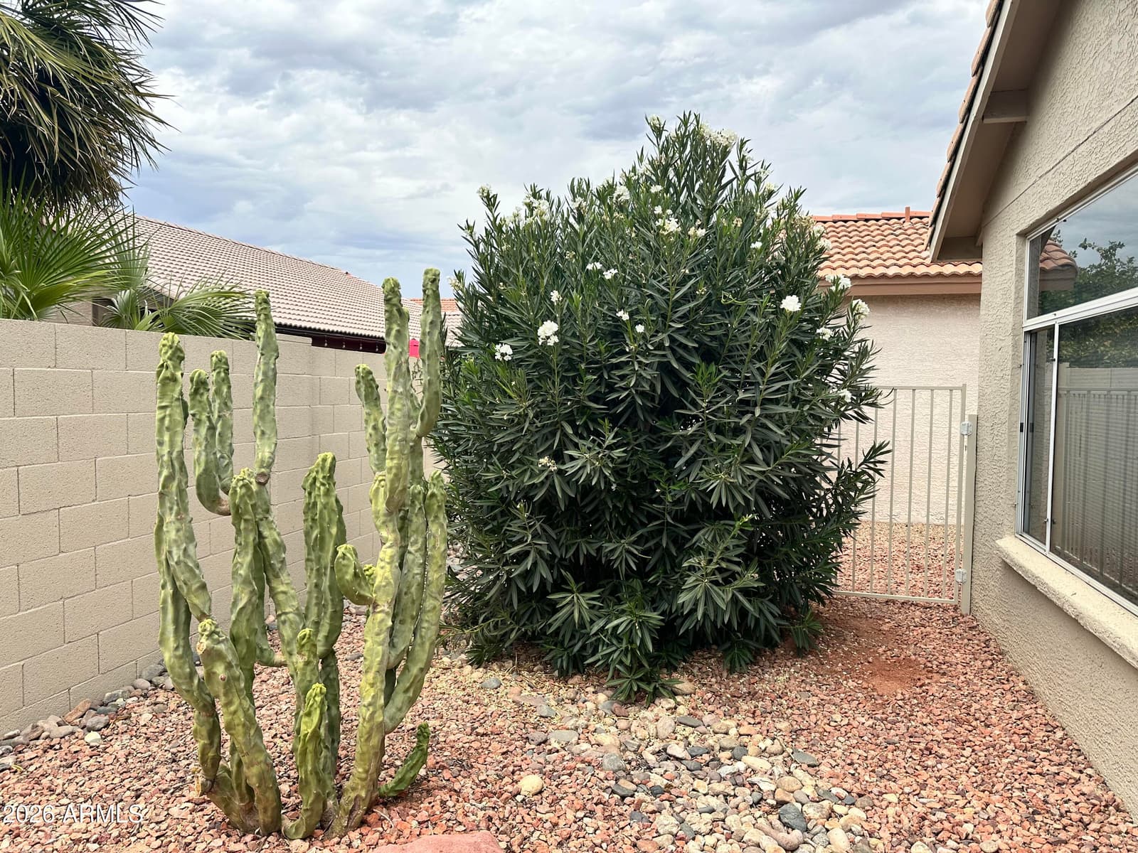 15077 W VALE Drive, Goodyear, AZ 85395 — photo 19 of 20