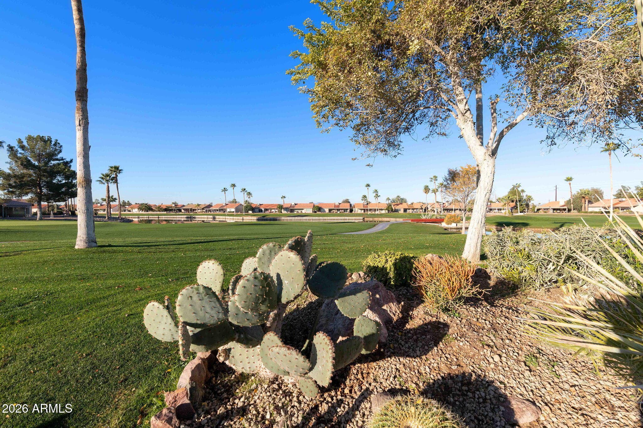1862 E PEACH TREE Drive, Chandler, AZ 85249 — photo 30 of 44