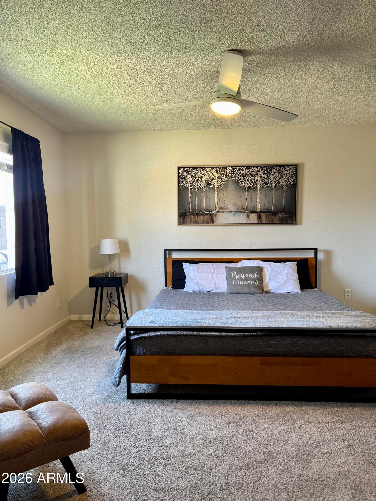 1523 W PLANA Avenue, Mesa, AZ 85202 — photo 5 of 20