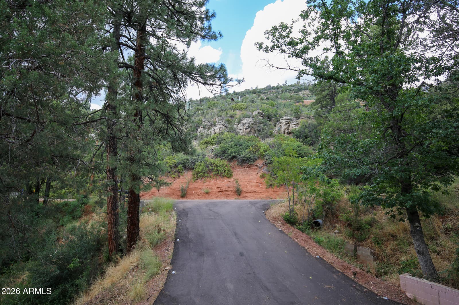 9651 W WILD TURKEY Lane, Pine, AZ 85544 — photo 4 of 45