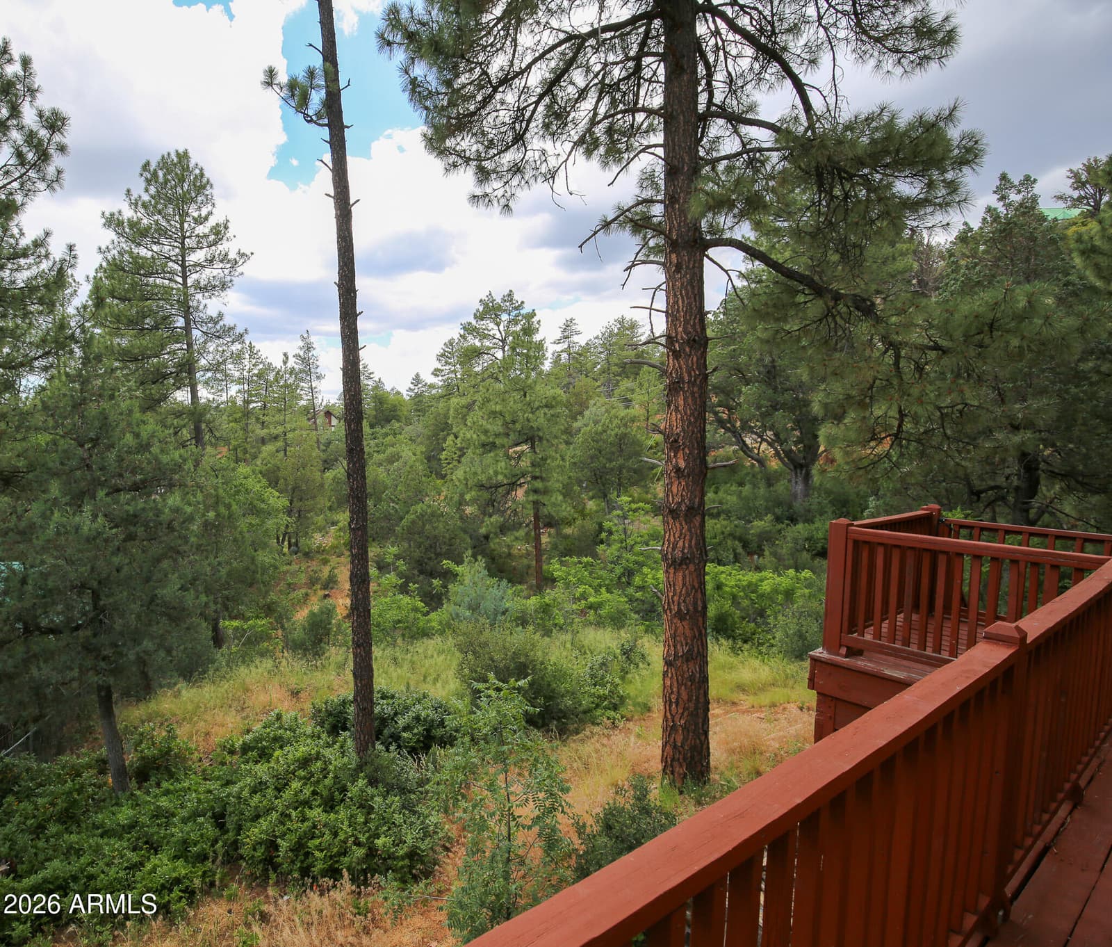 9651 W WILD TURKEY Lane, Pine, AZ 85544 — photo 6 of 45