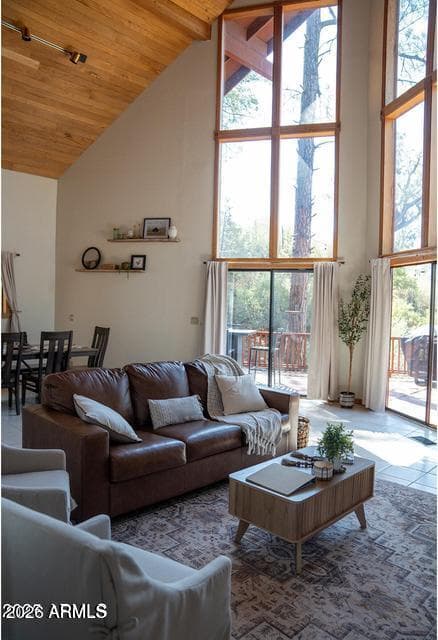 9651 W WILD TURKEY Lane, Pine, AZ 85544 — photo 44 of 45