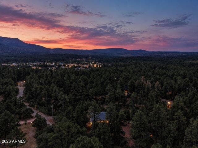 6719 W Pine Cone Trail, Pine, AZ 85544 — photo 49 of 50