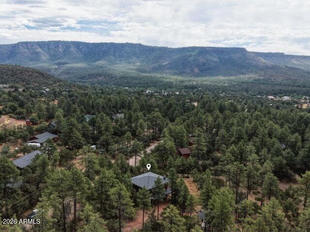 6719 W Pine Cone Trail, Pine, AZ 85544 — photo 38 of 50