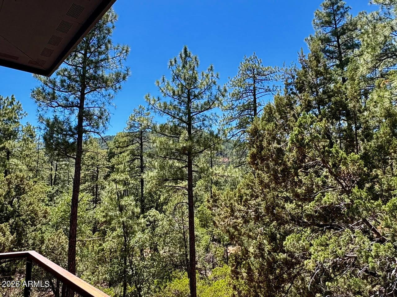 6719 W Pine Cone Trail, Pine, AZ 85544 — photo 42 of 50