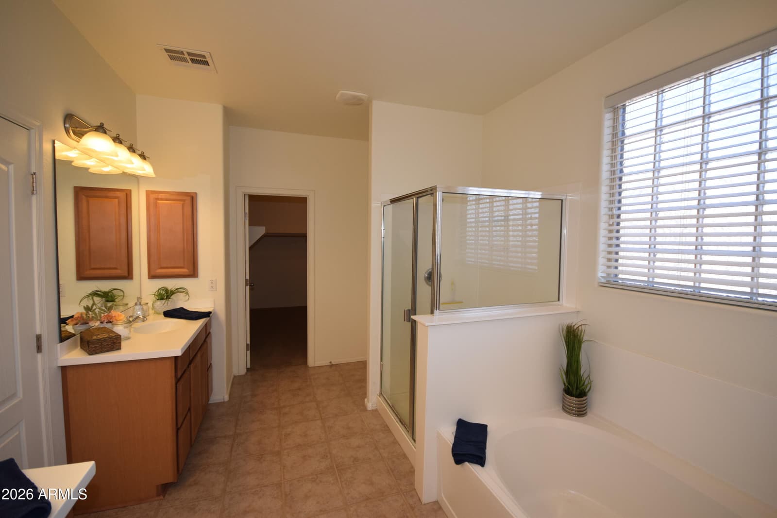 514 E PASTURE CANYON Drive, San Tan Valley, AZ 85143 — photo 27 of 68