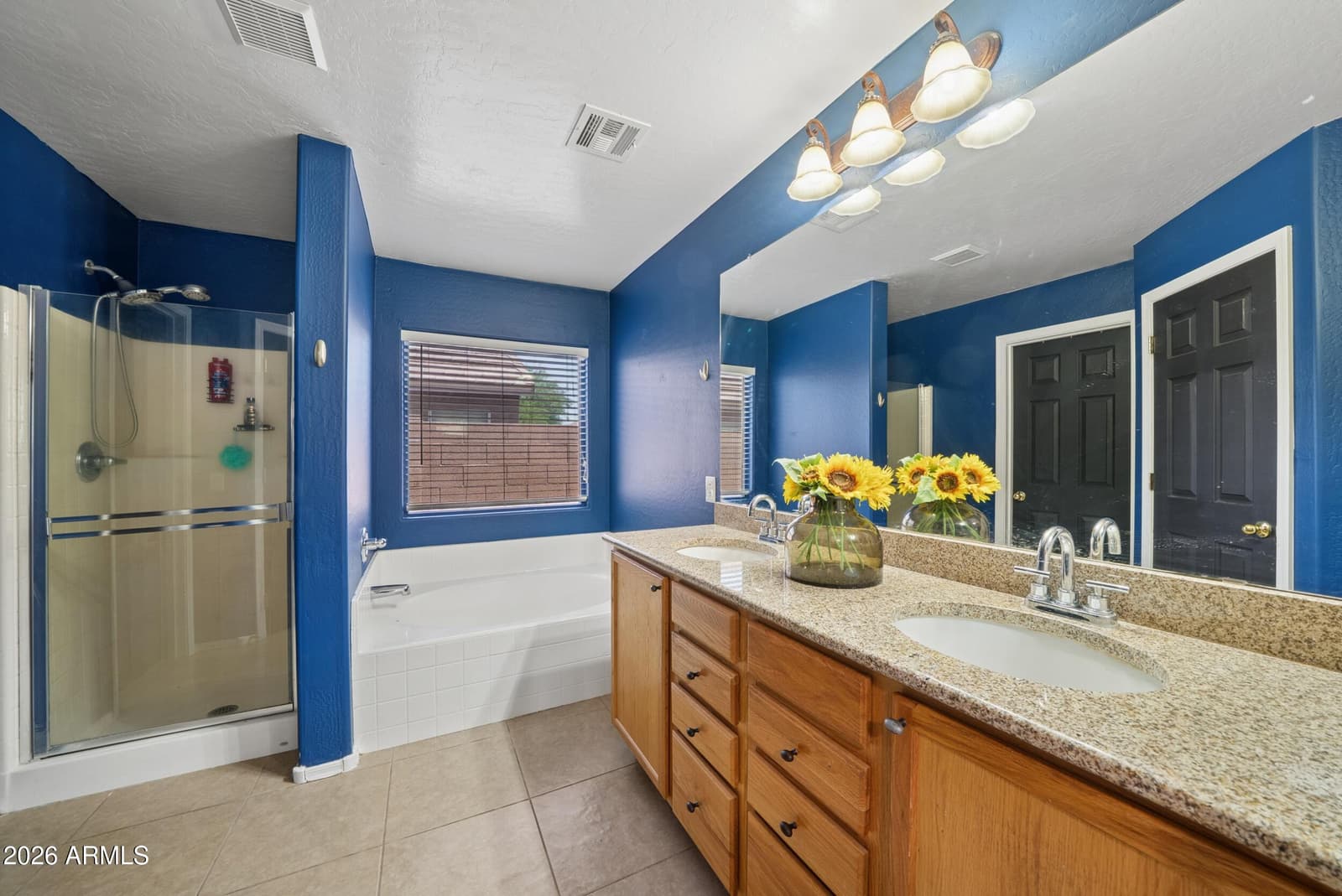 3243 W ALLENS PEAK Drive, San Tan Valley, AZ 85144 — photo 21 of 60