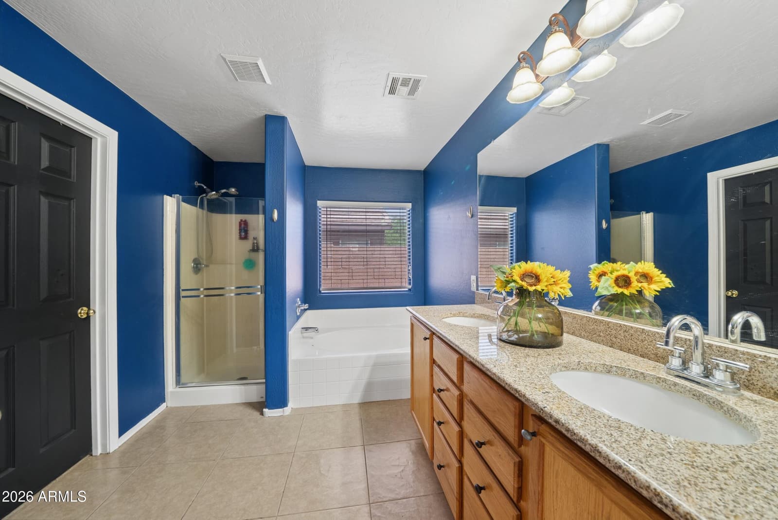 3243 W ALLENS PEAK Drive, San Tan Valley, AZ 85144 — photo 22 of 60
