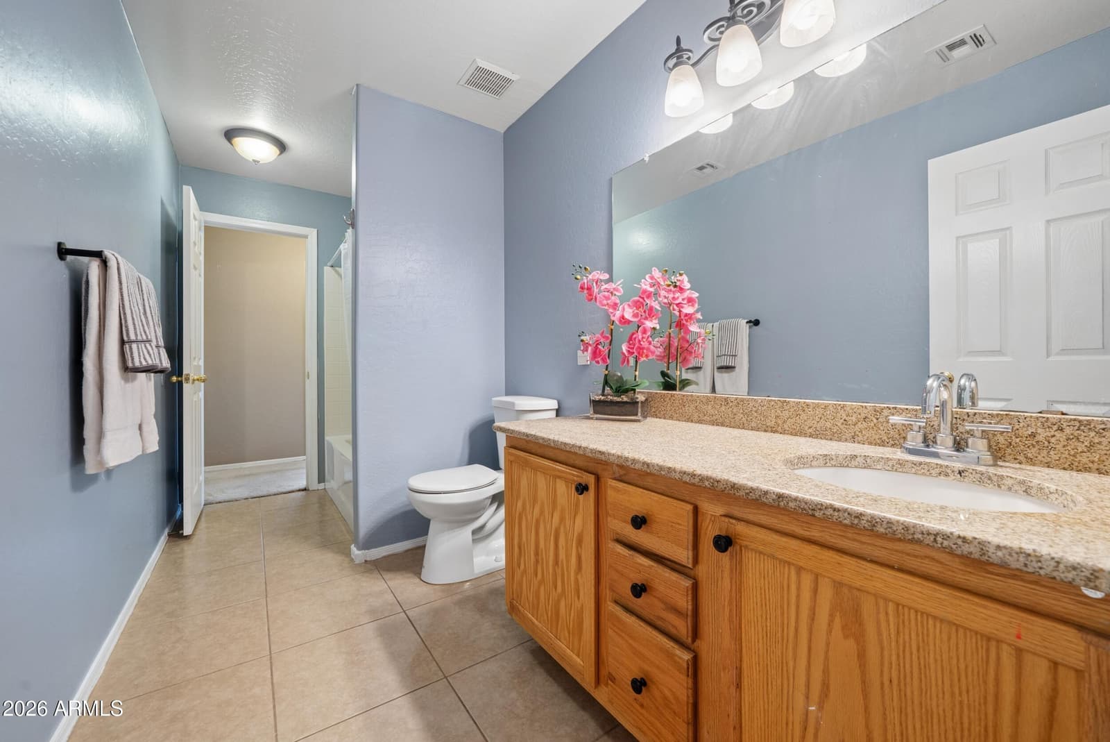 3243 W ALLENS PEAK Drive, San Tan Valley, AZ 85144 — photo 24 of 60