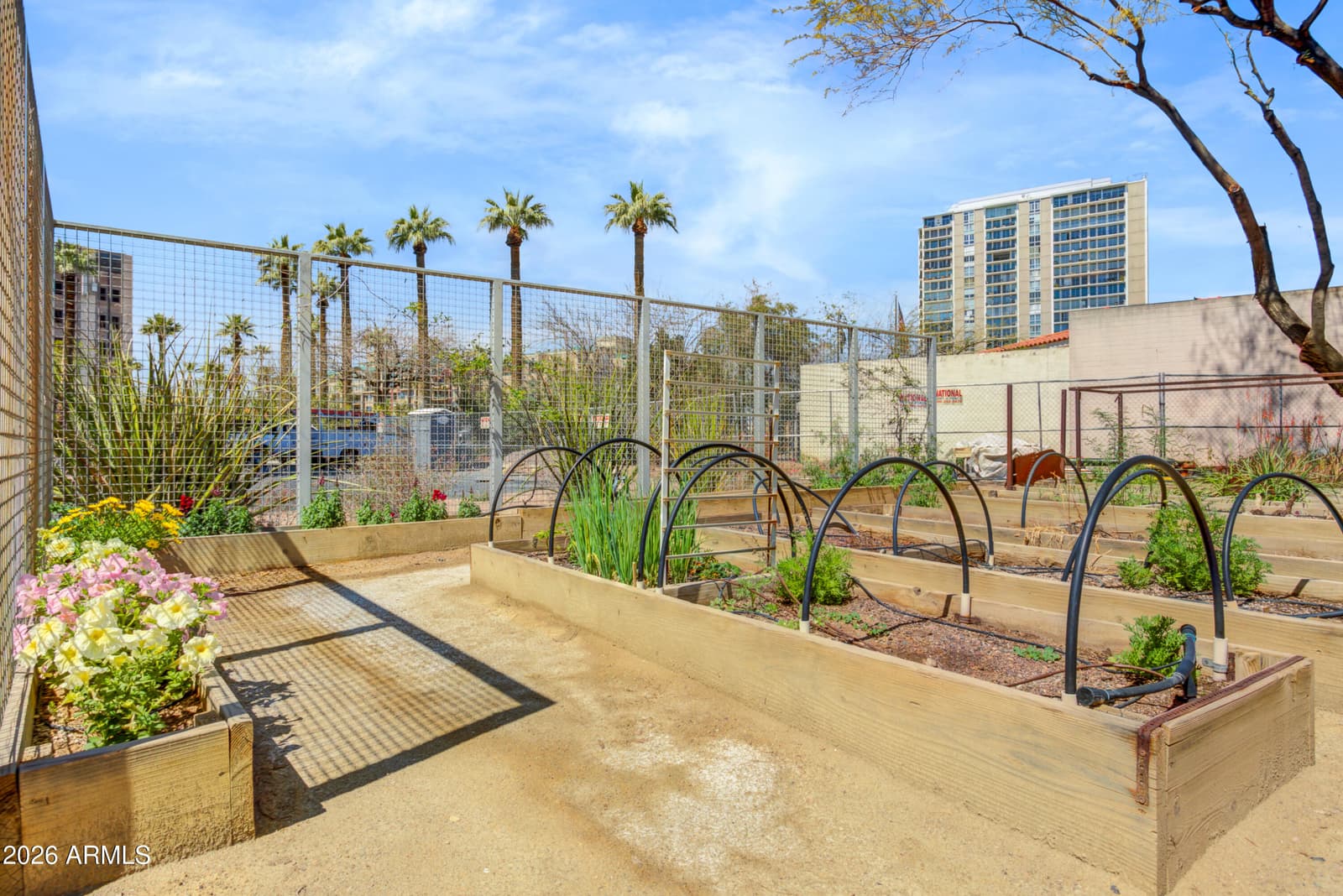 2201 N CENTRAL Avenue 3A, Phoenix, AZ 85004 — photo 33 of 41