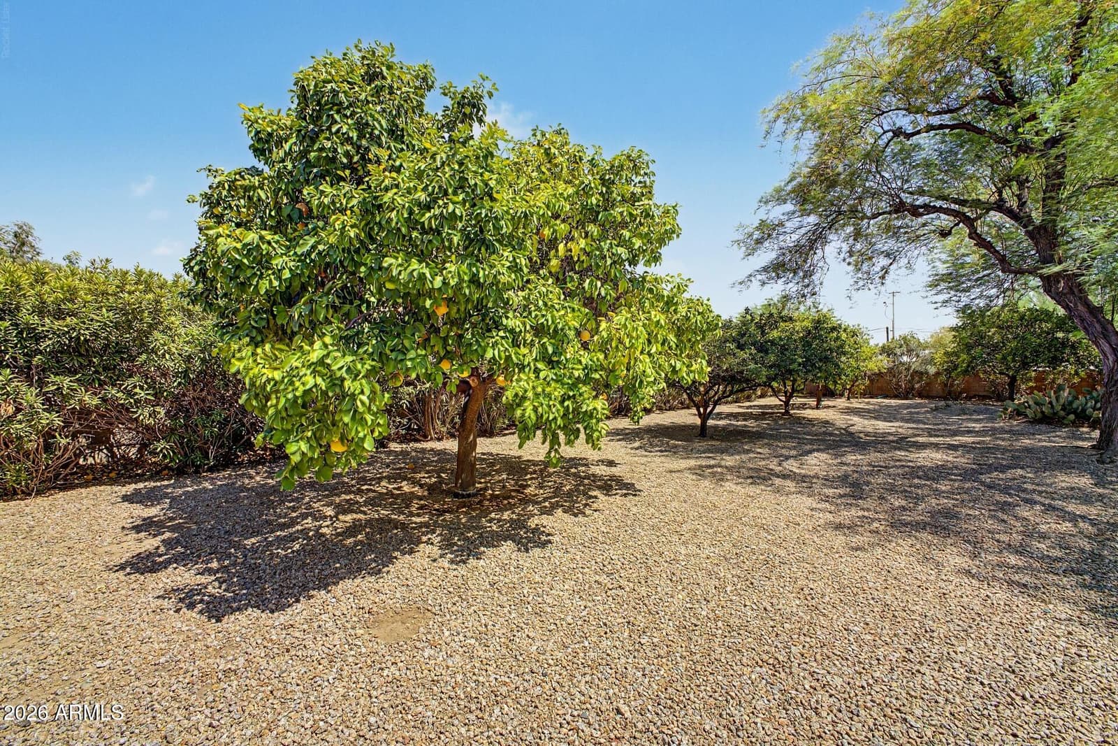 7801 E Charter Oak Road, Scottsdale, AZ 85260 — photo 66 of 69