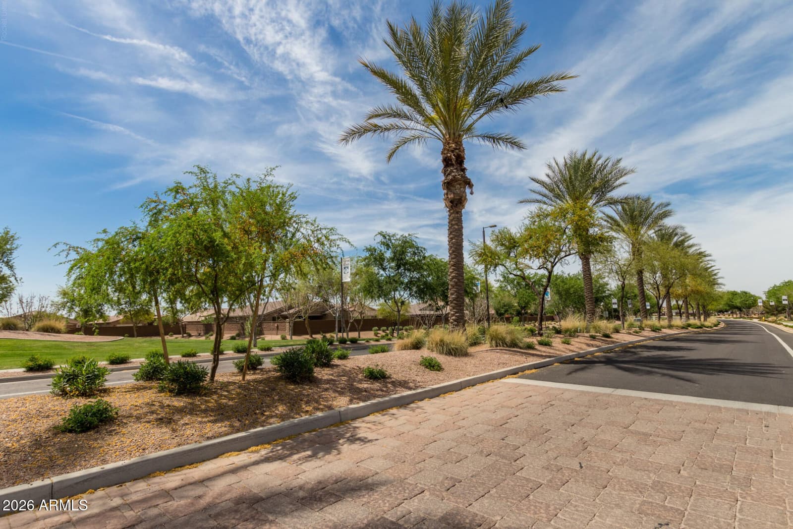 528 W EVERGREEN PEAR Avenue, Queen Creek, AZ 85140 — photo 53 of 59