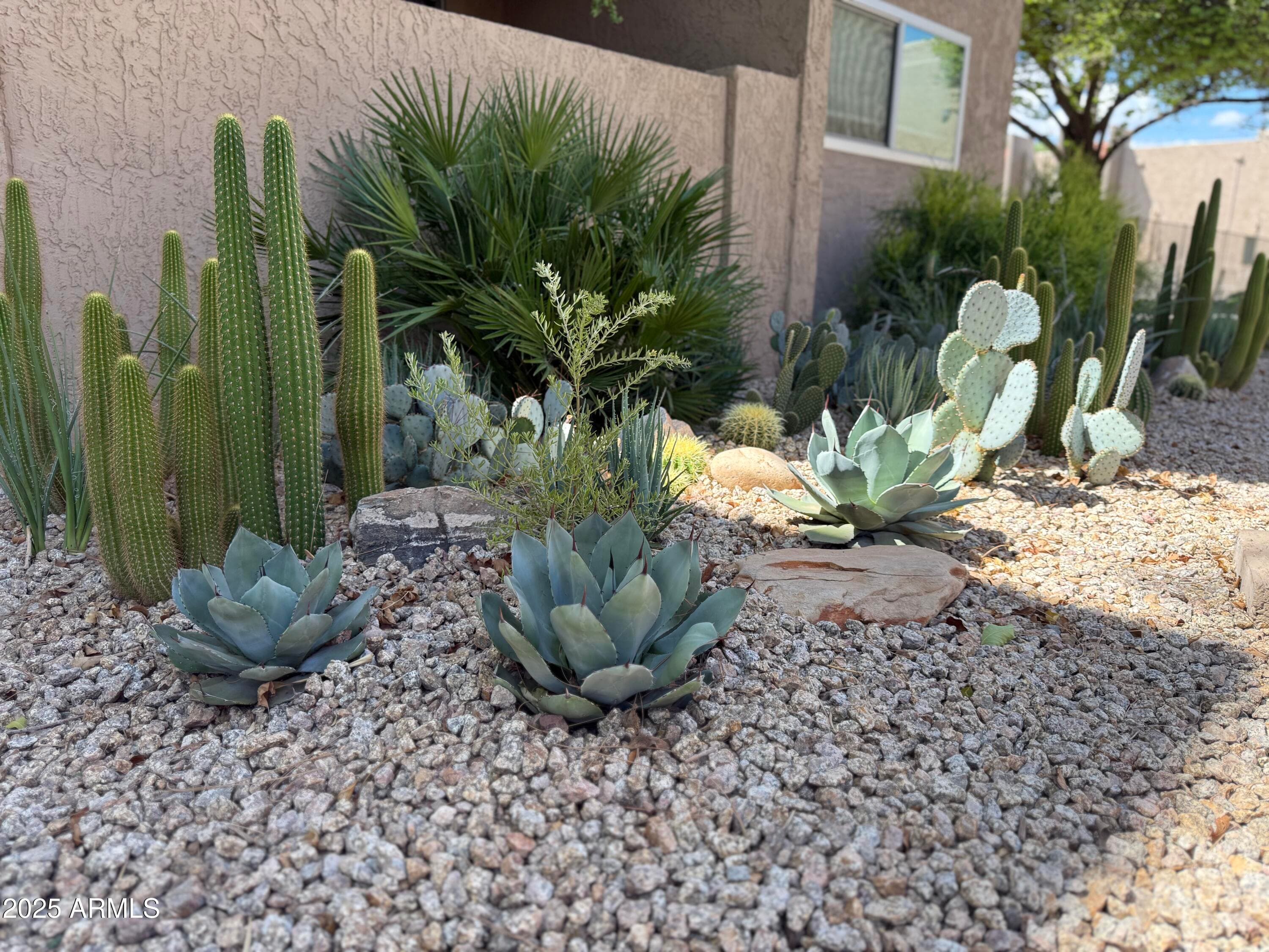 5525 E THOMAS Road M12, Phoenix, AZ 85018 — photo 30 of 42