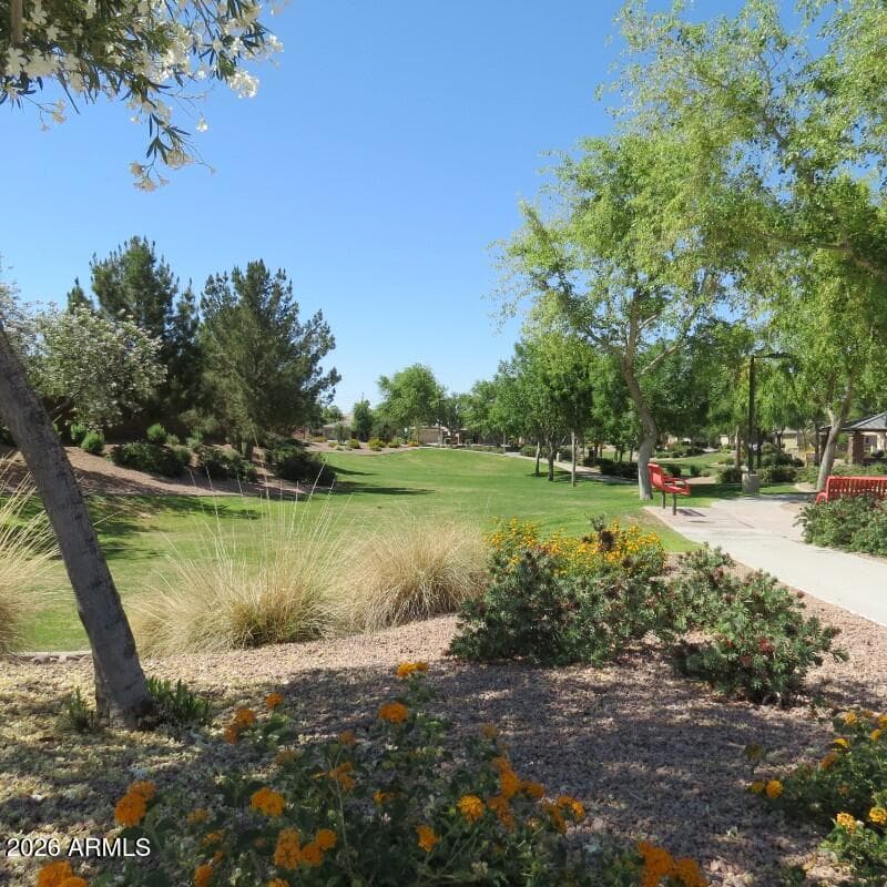 528 W EVERGREEN PEAR Avenue, Queen Creek, AZ 85140 — photo 45 of 59