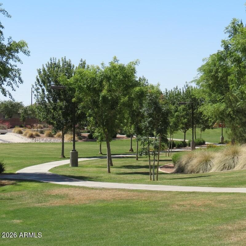 528 W EVERGREEN PEAR Avenue, Queen Creek, AZ 85140 — photo 44 of 59